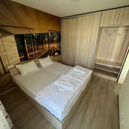 Victory 3* 소피아