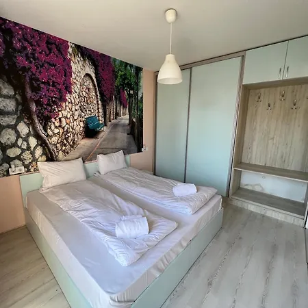 Victory 3* 소피아